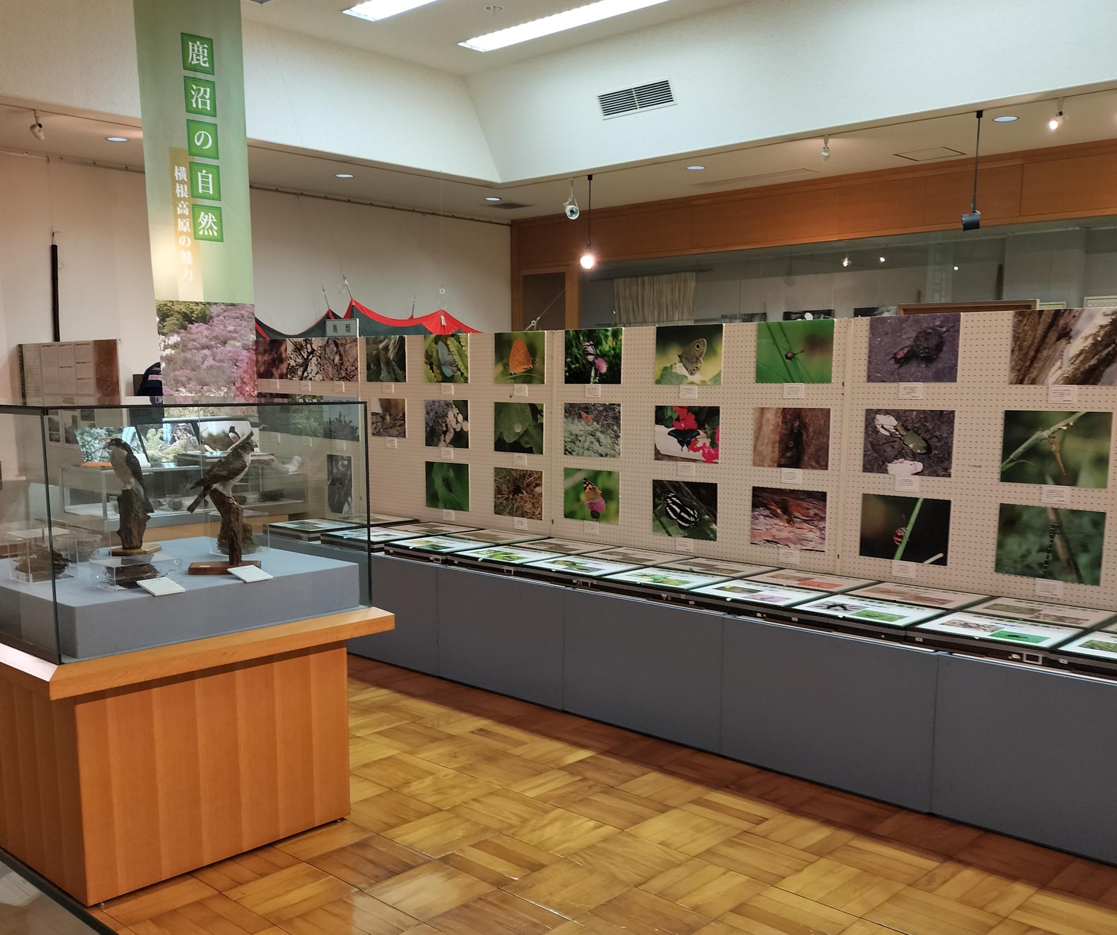 粟野歴史民俗資料館 粟野歴史民俗資料館