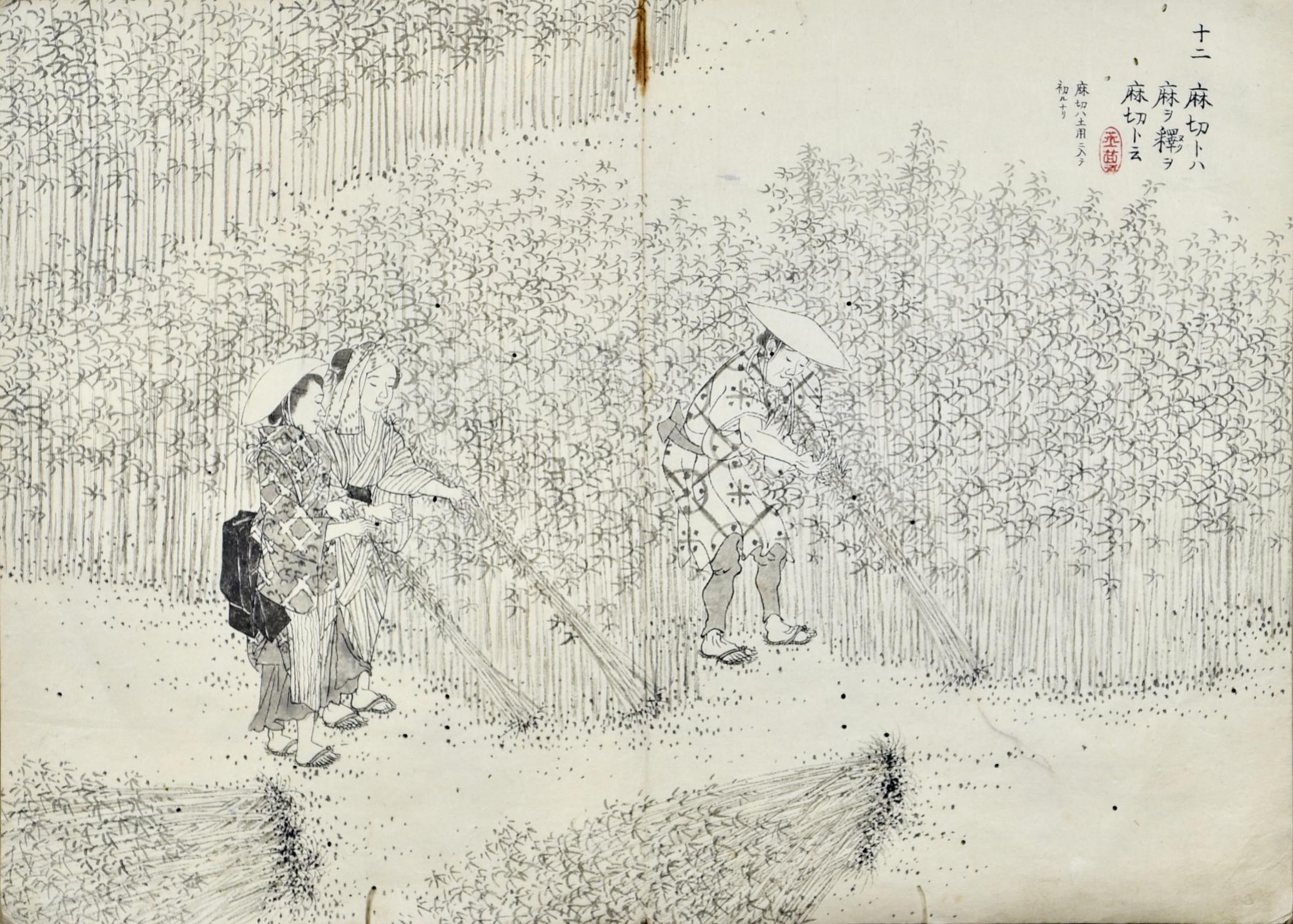 12