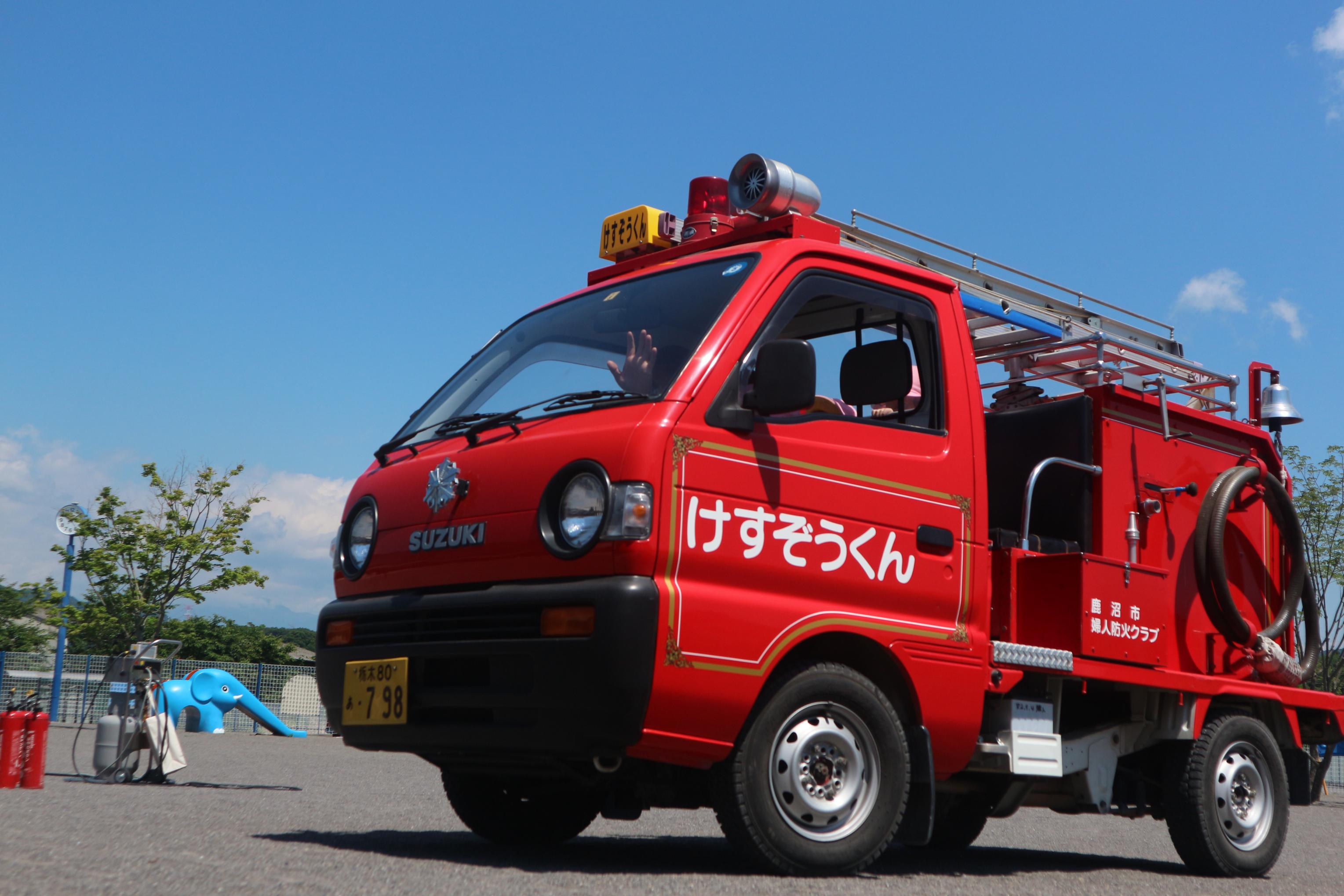 けすぞうくんの写真