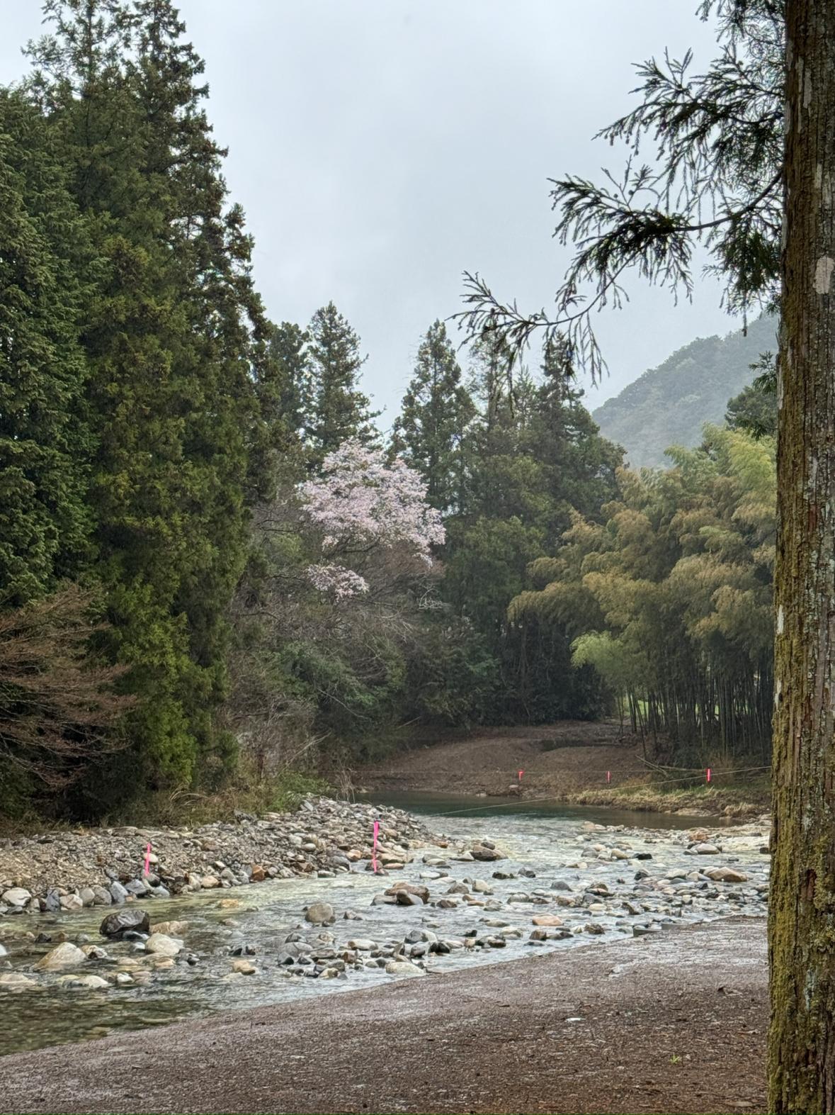 (3)川
