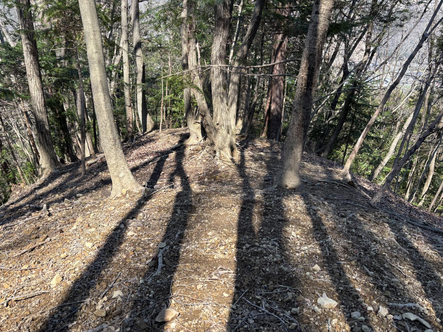 写真1尾根A（小曲輪）