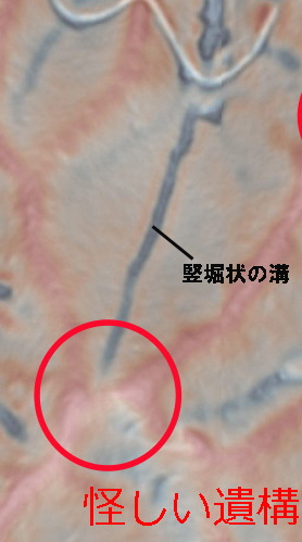 図4怪しい遺構竪堀状の溝