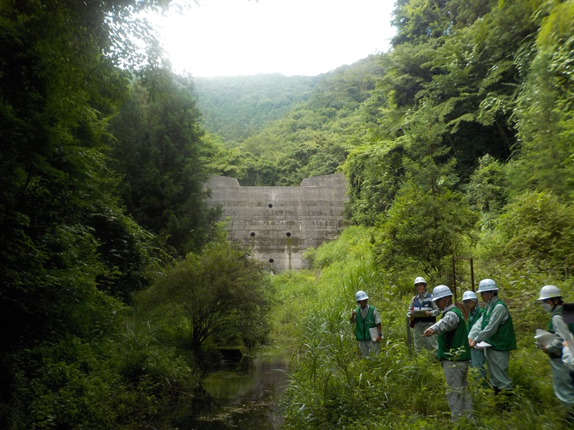 DSCN7540