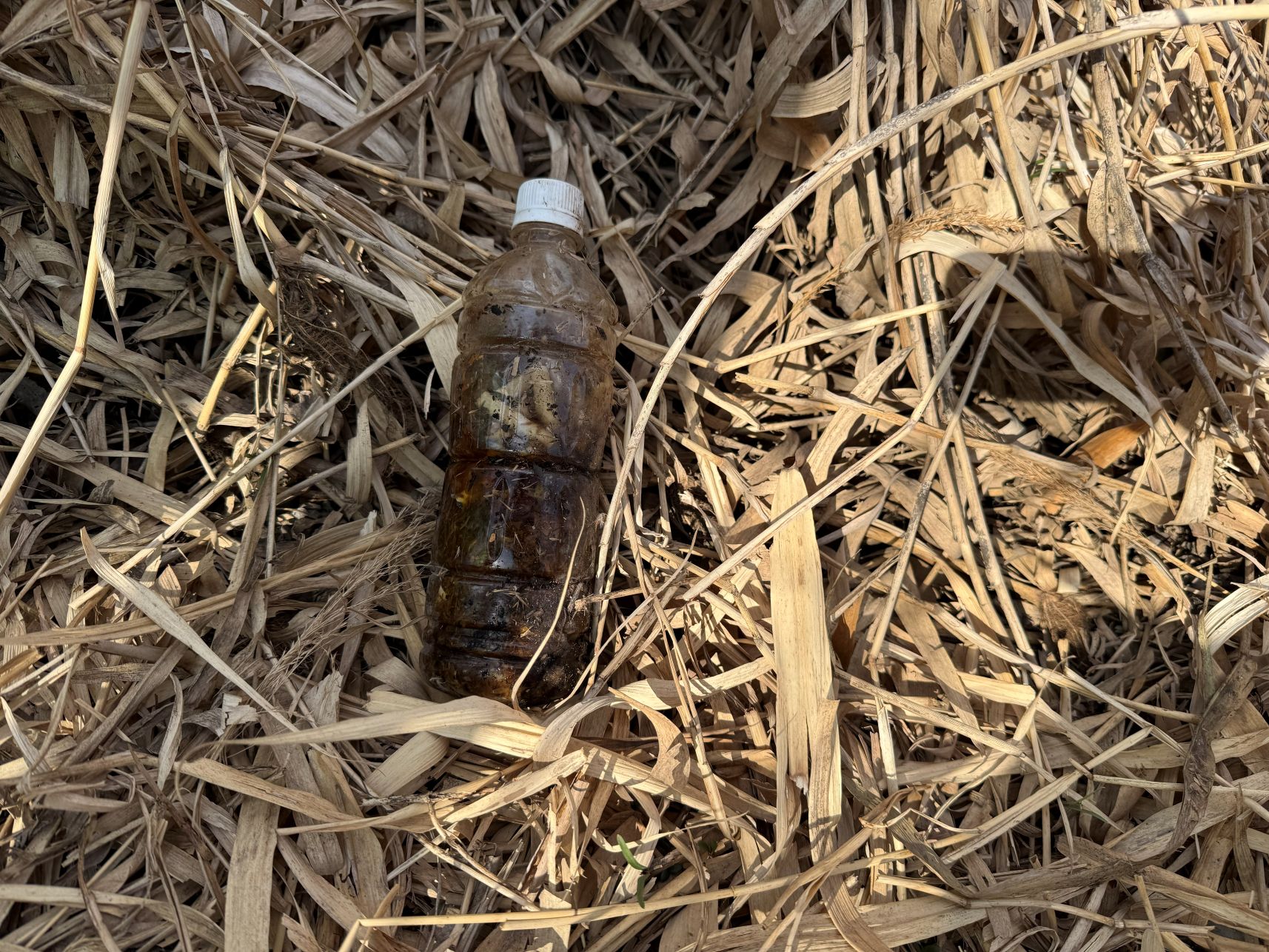 image_006.jpg 南摩クリーン大作戦4.jpg