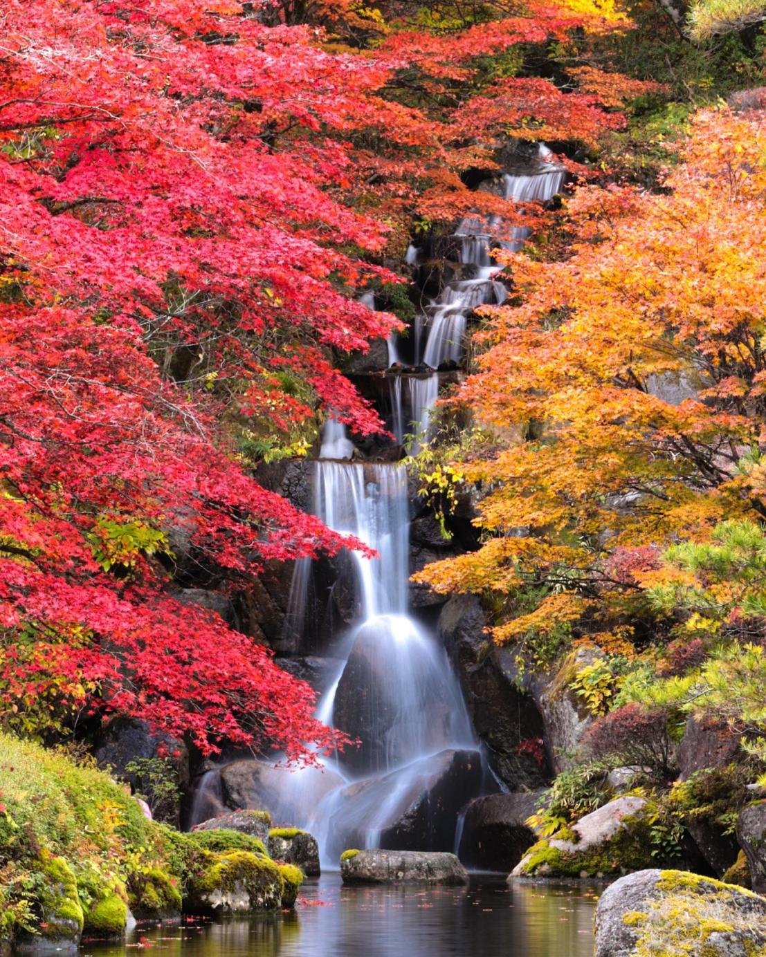 最優秀賞_photo.n0n.chan