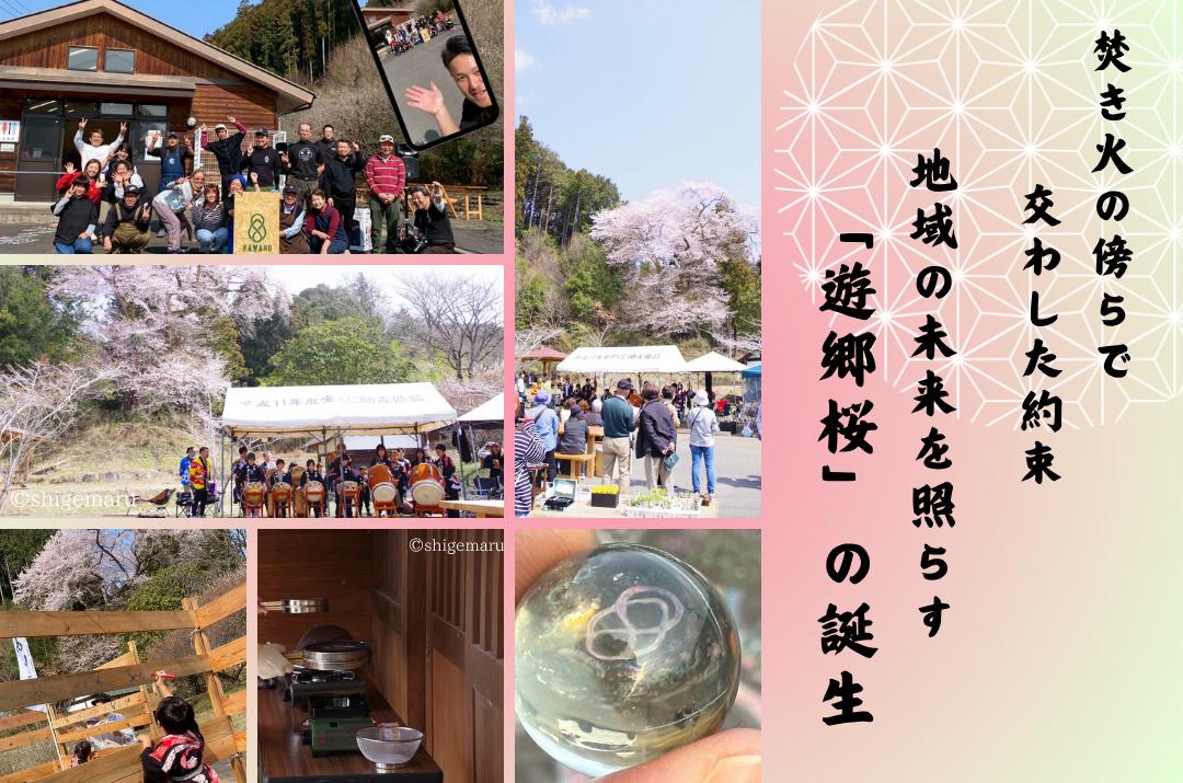 焚き火の傍らで交わした約束～地域の未来を照らす「遊郷桜（ゆうきょうさくら）」の誕生