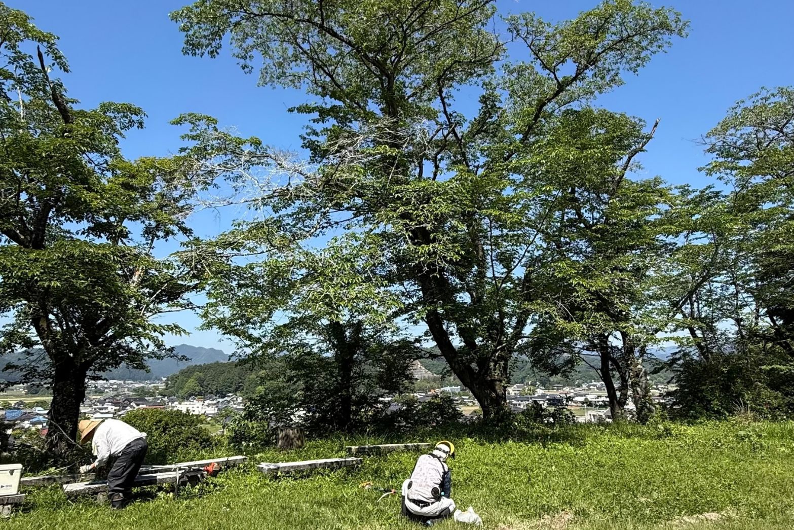 草刈り