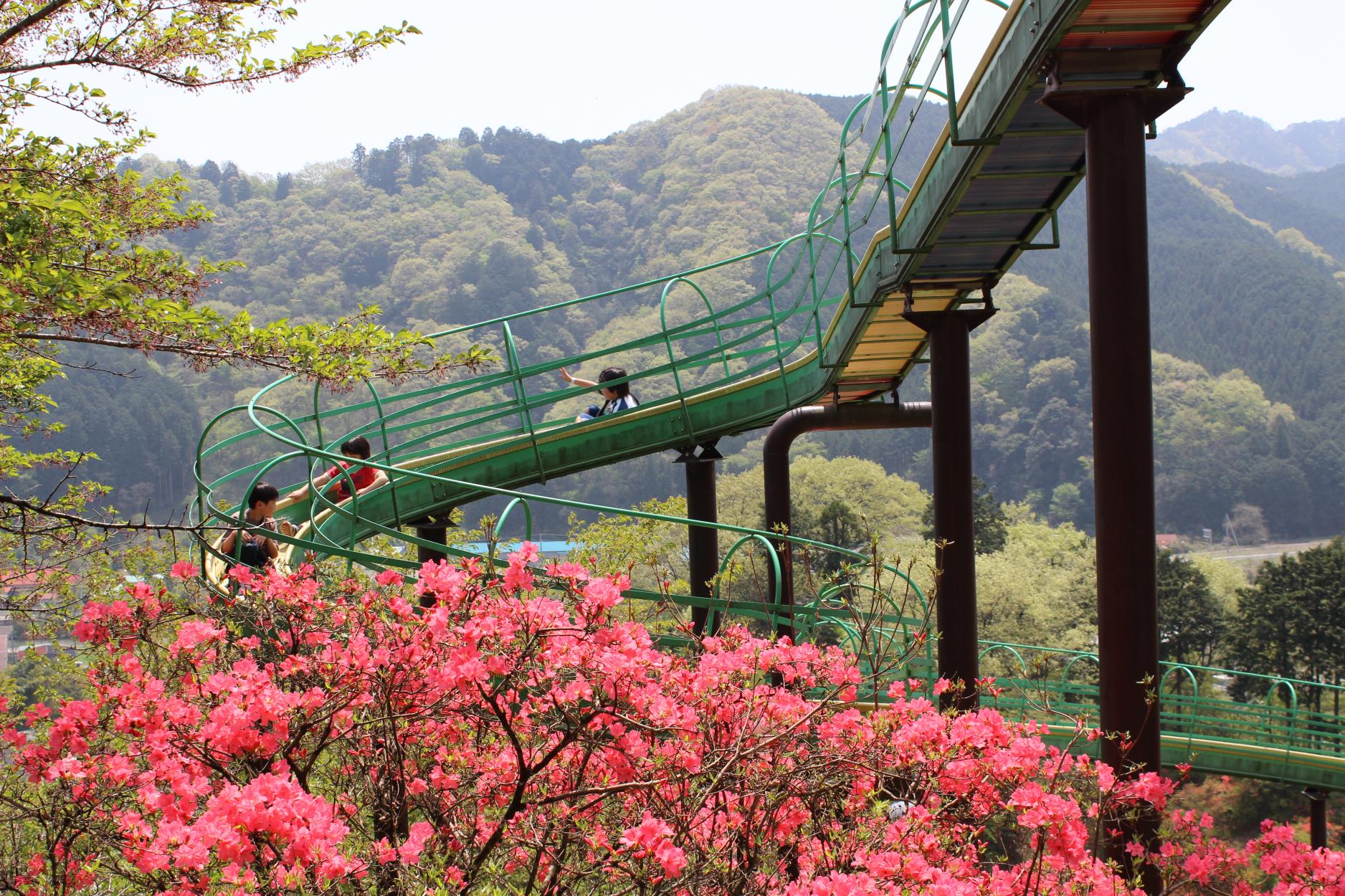 城山公園