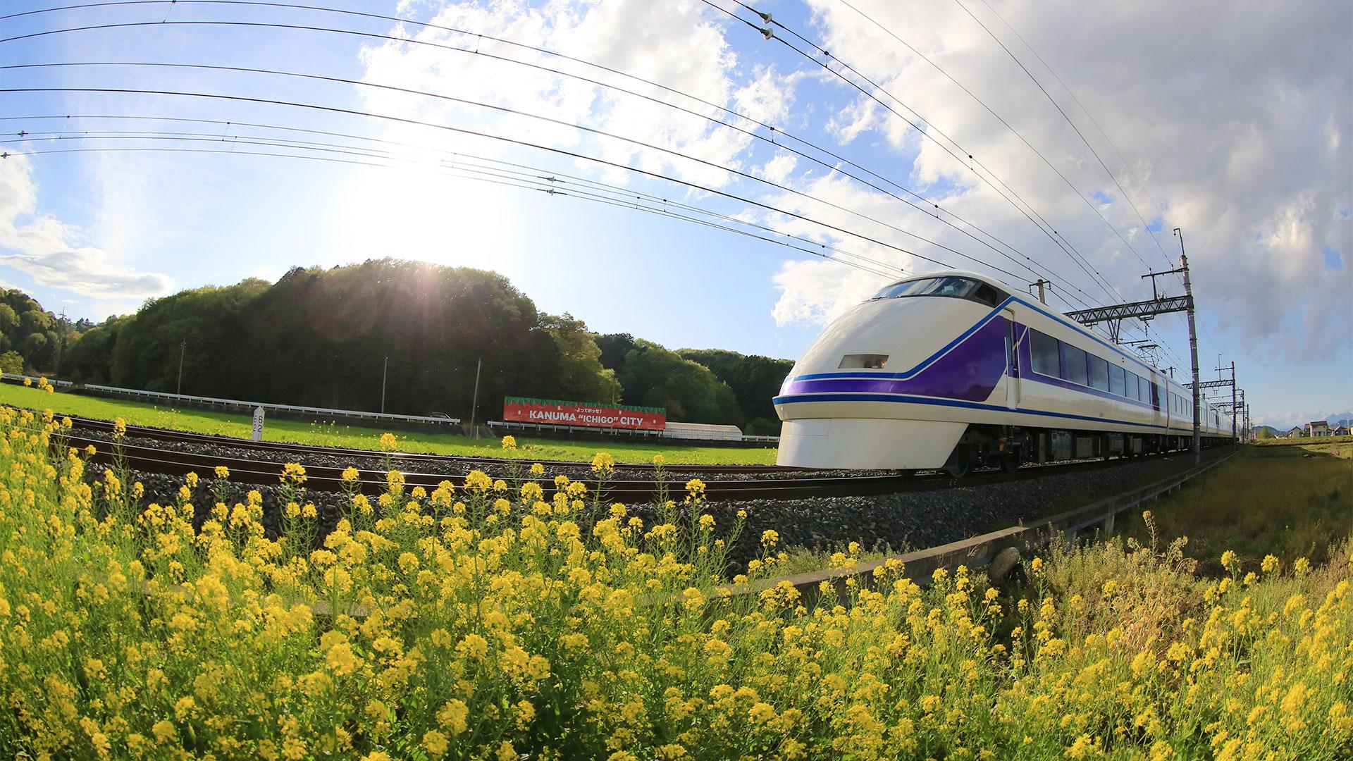 菜の花と電車