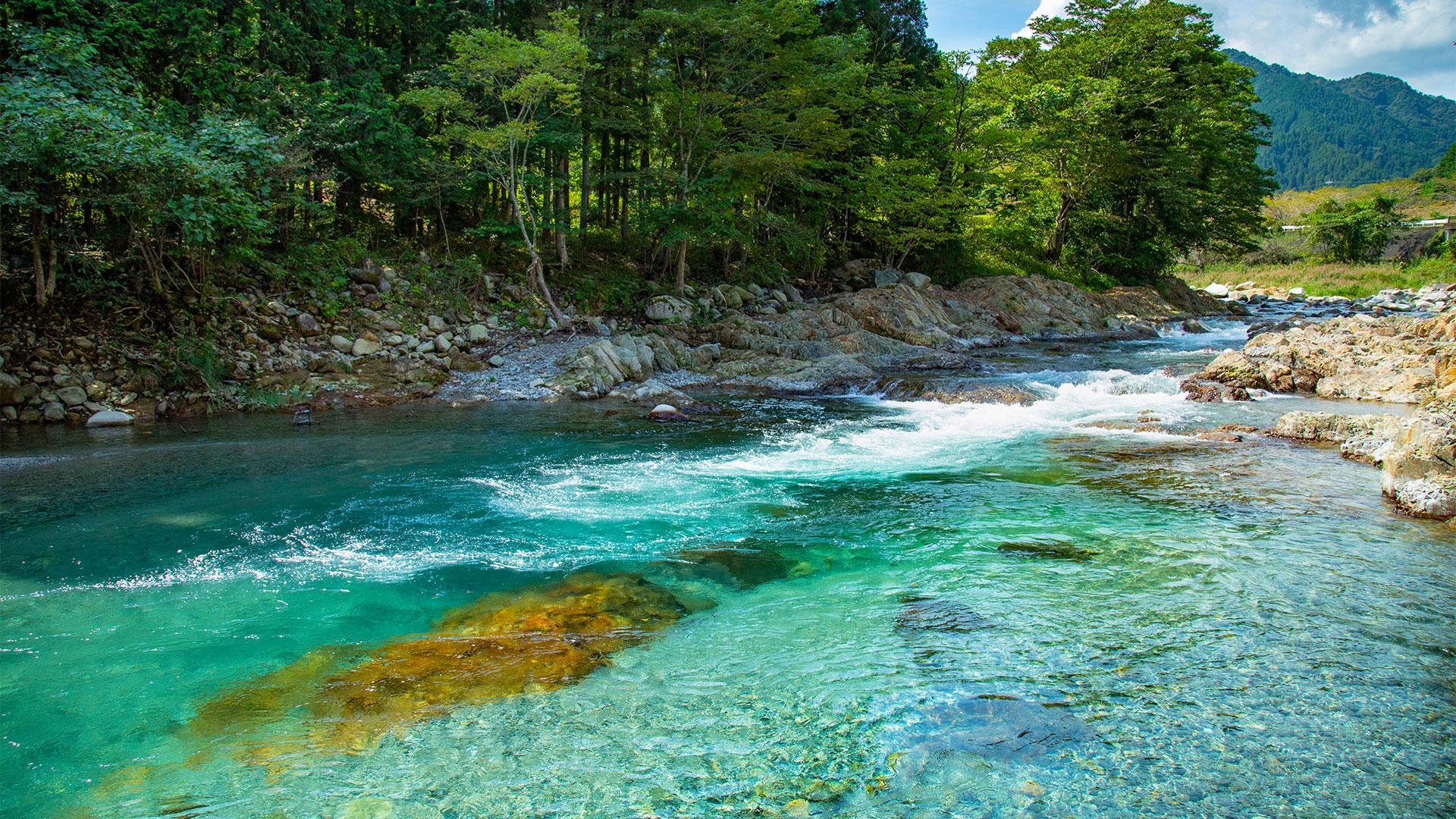 清流大芦川