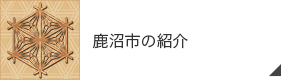 鹿沼市の紹介