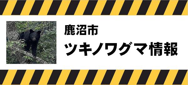 くま注意