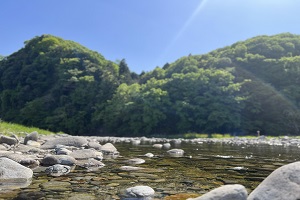 私の大好きな場所（大芦川）