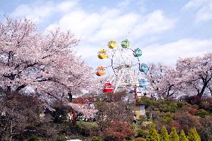 鹿沼市の写真 鹿沼市の写真